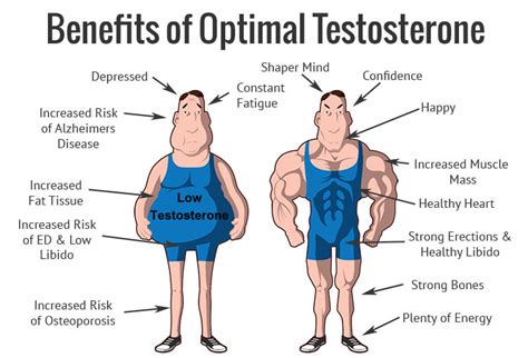testosterone